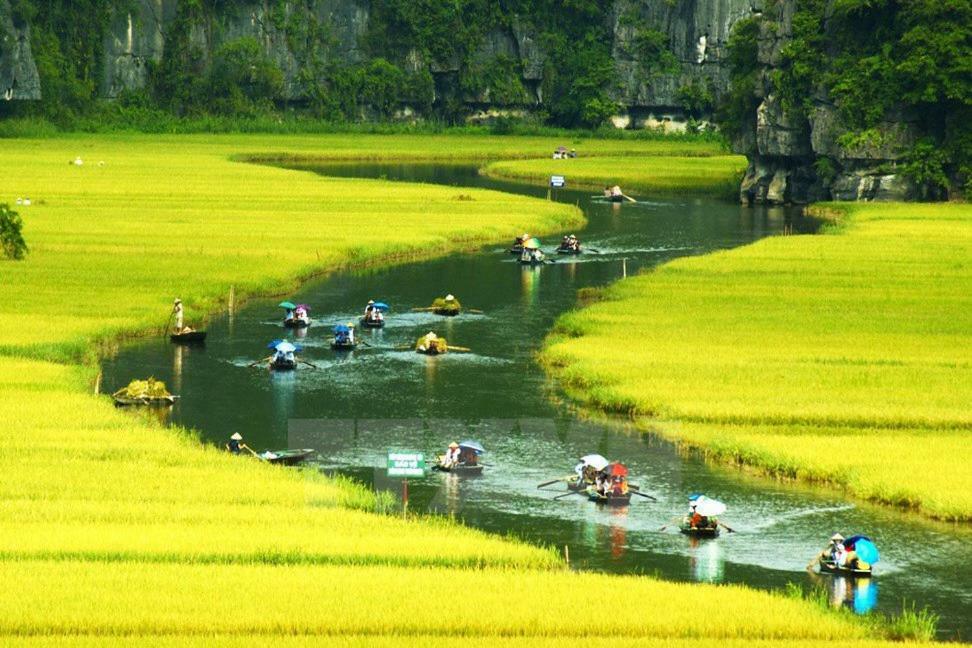Ninh Binh Brother'S Homestay Exterior foto